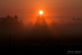 004_Biebrza - maj 2013